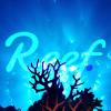 Reef Finance is iterating the ‘IDO’ Model with new ReefStarter Platform