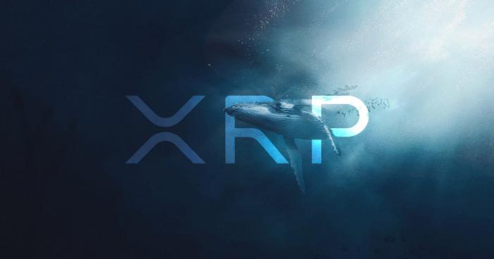 Ripple reports strong XRP whale accumulation despite ongoing SEC lawsuit