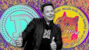 Elon Musk breaks his crypto hiatus by seconding Dogecoin’s fun nature