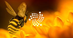IOTA 2.0 ‘Nectar’ goes live, here’s how the network will improve