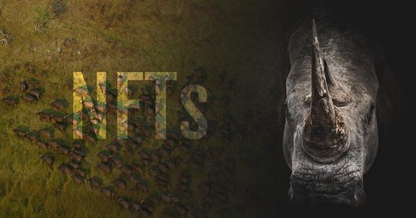 How NFTs are boosting efforts to save endangered Rhinos