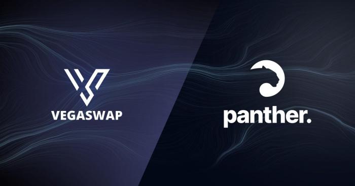 Panther Protocol Partners with Vegaswap