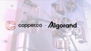 Algorand (ALGO) is all set to get institutional custodian support via Copper