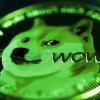 66% of all Dogecoin (DOGE) holders are ‘in profit,’ data shows