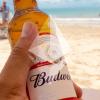 Big boost for Ethereum Name Service (ENS) as Budweiser buys beer.eth