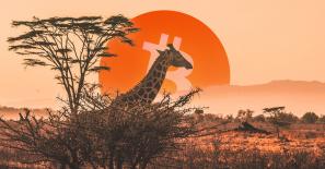 Data: Bitcoin (BTC) adoption grows 1,200% in Africa