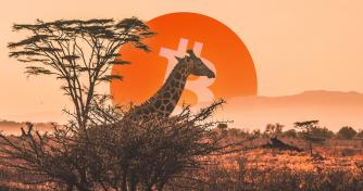 Data: Bitcoin (BTC) adoption grows 1,200% in Africa