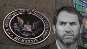 Ripple (XRP) boss agrees the securities lawsuit has backfired on the SEC