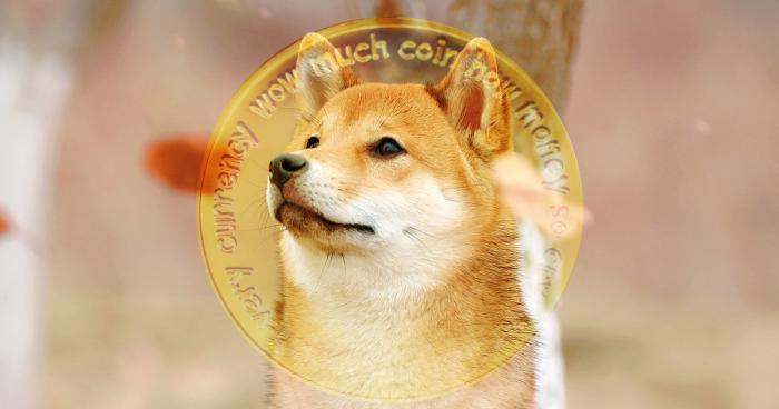 Where now for Dogecoin as the Shiba Inu-inspired token continues to slide?