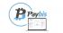 Paybis: Regulated exchange for trading and liquidity services