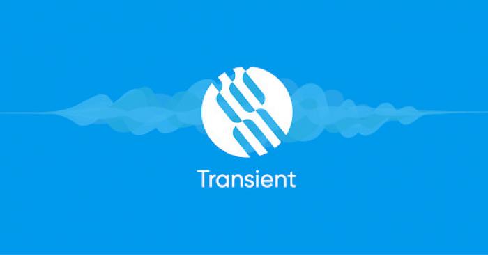 Transient Raises $1.2 Million in IDO Public Sale to Build the Amazon of Smart Contracts