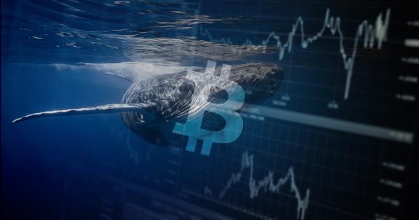 On-chain data shows Bitcoin (BTC) whales are ‘hodling’ on as BTC nears $60,000