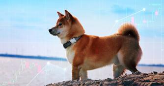 Data: Shiba Inu (SHIB) whales are responsible for 300% price jump