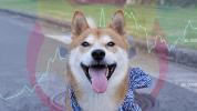 Shiba Inu (SHIB) storms up crypto rankings suggesting meme coins aren’t done yet