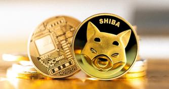 Someone put $8,000 in Shiba Inu last year. It’s now worth $5.7 billion
