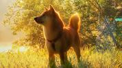 Analysts say these reasons were behind Shiba Inu’s (SHIB) 300% rise last month