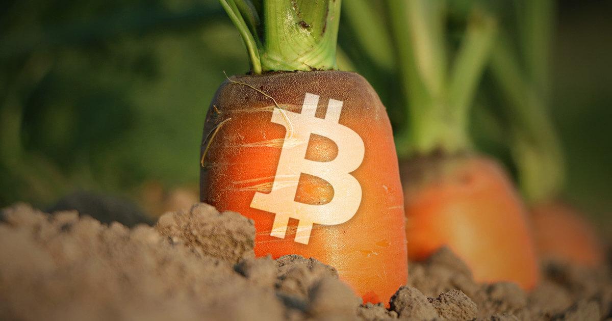 Scalability comes to Bitcoin as Taproot upgrade goes live