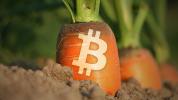Scalability comes to Bitcoin as Taproot upgrade goes live