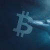 Whales bought 40,000 Bitcoin during the dip this week