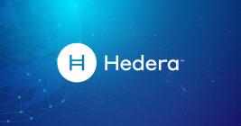 Hedera Network will soon see its first DeFi project
