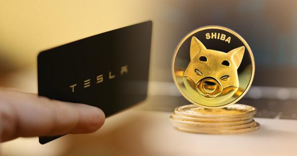 Website leak sparks rumours that Tesla could accept Shiba Inu (SHIB) as payment