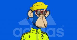 Adidas makes Bored Ape Yacht Club NFT its Twitter display, what’s with the endorsements?