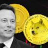 Dogecoin price spikes 20% after Elon says Tesla will accept it as payment for merchandise