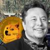 Elon Musk announces Dogecoin payments for Tesla merch