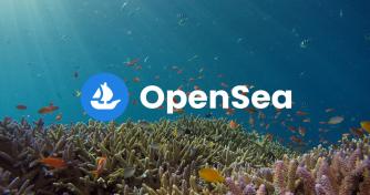 OpenSea wants to go public despite crypto community outcry