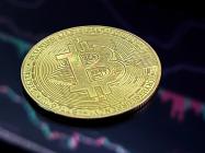 On-chain data shows people are hodling Bitcoin despite price slump