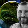Cardano founder says delays are just the nature of the game