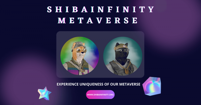 ShibaInifinity Gaming Protocol: A World Class Experience For Dog Owners & Lovers On The Metaverse