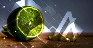 Limewire to launch its new NFT marketplace on Algorand Blockchain