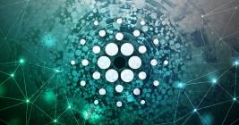 Cardano wallet addresses reach 3.6 million even as price drops
