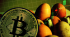 Why is the Fed tracking the price of eggs in Bitcoin?