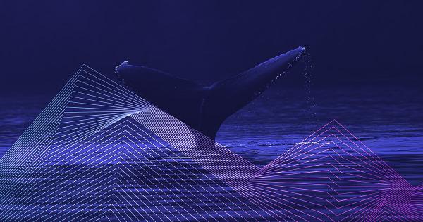 Solend pays users to vote on proposal to liquidate whale wallet OTC and avoid “bad debt”