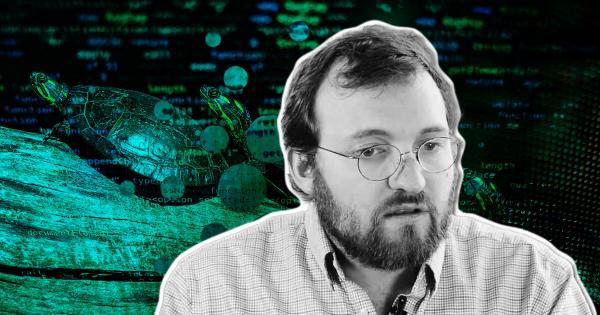 Cardano founder ‘fundamentally rejects’ tortoise-hare analogy for the blockchain
