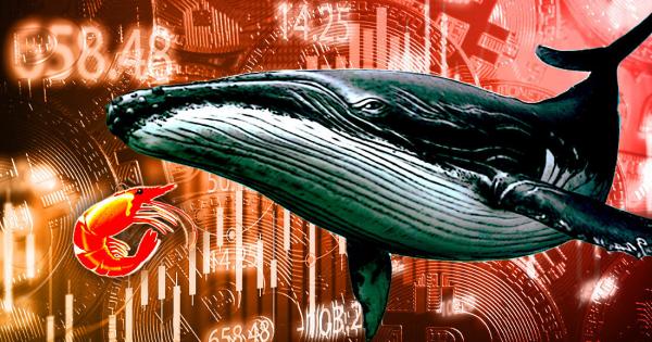 Research: Shrimps vs. Whales — Small holders accumulate Bitcoin as whales dump