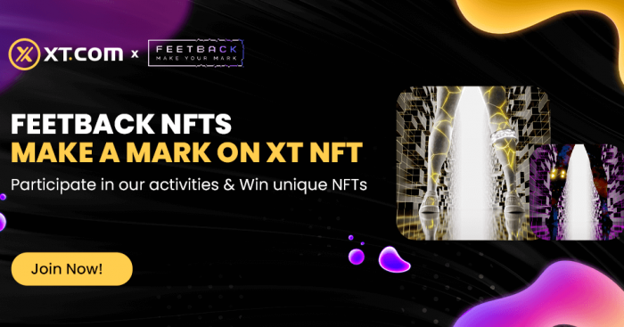 The Feetback NFT Collection to be listed on XT NFT