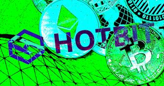 Hotbit exchange suspends all transactions indefinitely