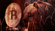 Research: Bear market cycles see long-term holders capitulate and then accumulate