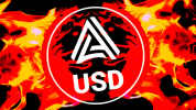 Acala burns 99% of aUSD involved in mint exploit