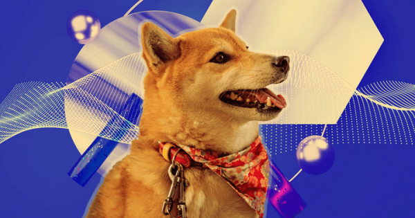 Dogecoin team warns Dogechain is 'another knockoff token'