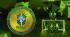 Brazil Fan Token drops 50% fall in hours after the Croatia World Cup loss