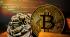 HRF Bitcoin Development Fund grants $325K to Bitcoin developers