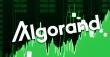 Algorand price surges over 12%