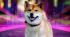 Shiba Inu metaverse details unveiled by official announcement