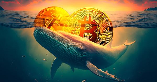 Bitcoin touches $28,000 as whales, long-term holders ramp up accumulation