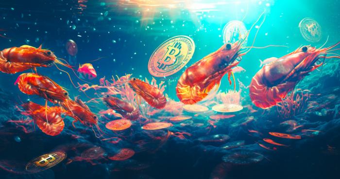 Bitcoin shrimp ramp up accumulation, signaling shift in market structure