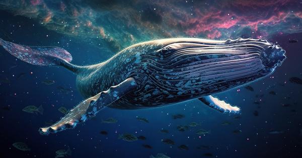 Crypto whale loses over $24M staked Ethereum to phishing, as ‘verified’ X scams surge